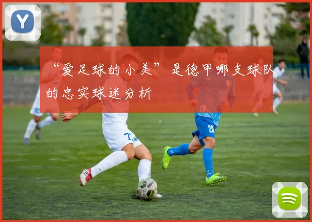 “爱足球的小美”是德甲哪支球队的忠实球迷分析