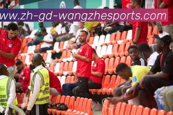 王者体育APP 封面图